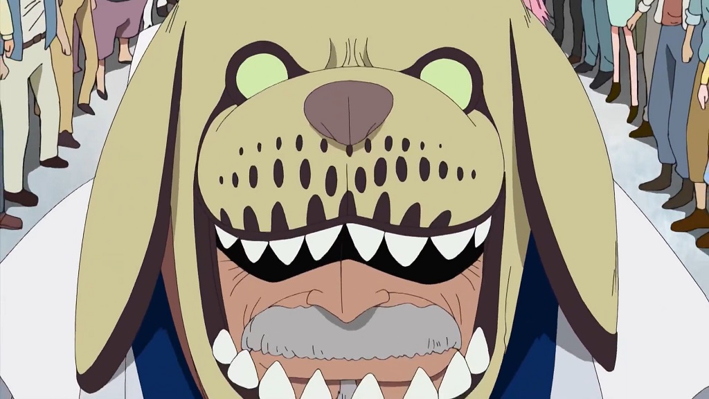 One piece Episode 313 Monkey D Garp