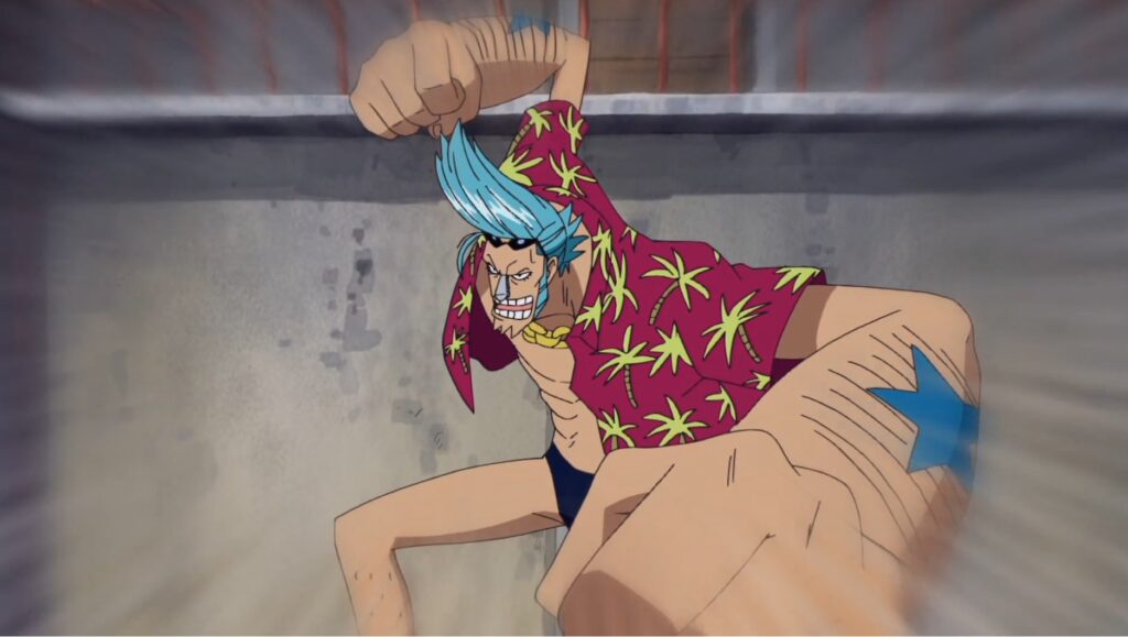 One Piece Franky is the only one who knowns about the blueprints of puton.