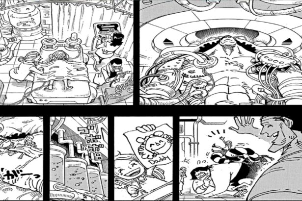 One Piece 1100 Kuma is becoming A Warlord of the sea.