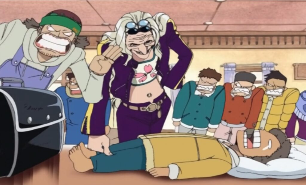 One Piece DR Kureha is the best doctor on the Drum Island.